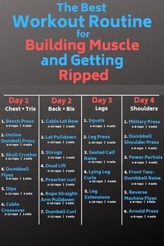 the best workout routine for building muscle and getting ripped