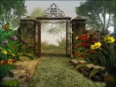 an image of a garden with flowers in the foreground and a gate on the far side