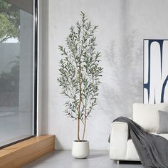 a living room with a white couch and a potted plant next to the window