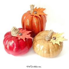 three small pumpkins with leaves on them sitting next to each other in front of a white background