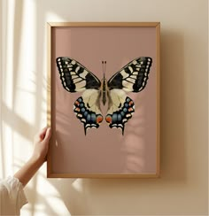 a woman's hand is holding up a framed photograph of a butterfly