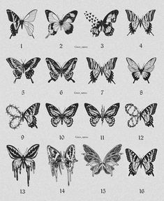 an image of butterflies with numbers on them and the number one in each butterfly's wings