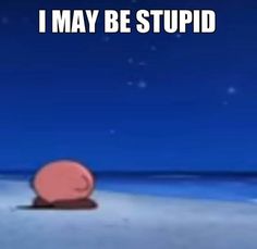 Kirby Memes, Image Meme, Hate Mondays, Funny Reaction Pictures, Nalu, Really Funny Pictures, Reaction Pictures