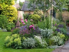 a garden with lots of different types of flowers