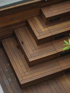 a plant is growing out of the middle of some wood flooring pieces that are stacked on top of each other