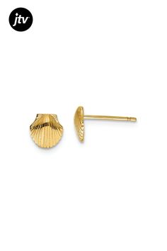 14k yellow gold 7mm mini scallop shell stud earrings with push backings. Scallop Shell, Scallop Shells, 10k Gold, Shells, Yellow Gold, Stud Earrings, Texture, Yellow, Gold