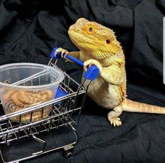 a lizard sitting next to a shopping cart filled with cookies