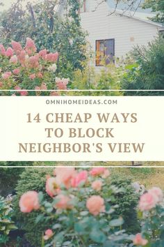 14 Cheap Ways to Block Neighbor's View - Omni Home Ideas Privacy Fence From Neighbors, How To Block Neighbors Yard, Privacy Fence For Front Yard, Neighbor Divider Front Yard, Privacy Garden Ideas Backyards, Plants To Block Neighbors, Diy Yard Privacy Ideas Cheap, Short Fence Ideas Backyards, Ways To Block Neighbors View