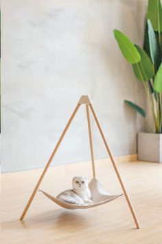 a cat is sitting in a hammock on the floor next to a potted plant