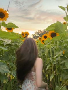 a woman standing in the middle of a field of sunflowers with her back to the camera