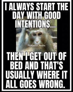 a monkey that is sitting in the middle of a frame with an interesting quote on it