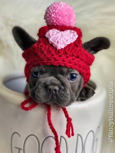 a small dog wearing a red knitted hat with a heart on it's head