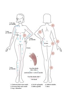 Guasha Body Map, Anticellulite Massage Before And After, Body Gua Sha Map, Full Body Gua Sha Map, Gua Sha Technique Stomach, Gua Sha Abdomen, Gua Sha On Stomach, How To Use A Gua Sha On Your Face, Gua Sha Stomach