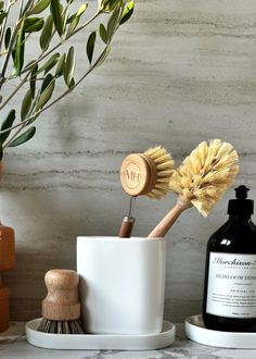 two cleaning brushes in a cup next to a soap dispenser and brush