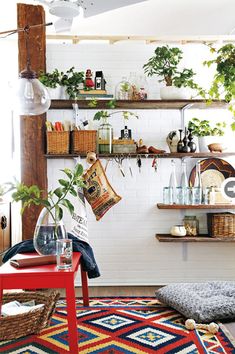 a room filled with lots of potted plants next to a white brick wall and shelves