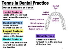 Dental Radiology, Dental Notes, Dental Charting, Dental Nursing, Tooth Surfaces, Registered Dental Assistant