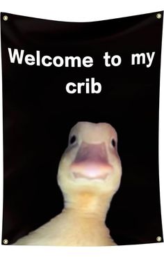 a close up of a duck with the words welcome to my crib