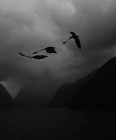 two birds flying in the air over water under a cloudy sky with mountains behind them