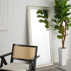 a chair sitting in front of a mirror next to a potted plant and rug