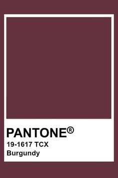 Pantone Red, Color Palette Design, Color Analysis