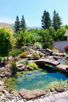 a small pond in the middle of a garden