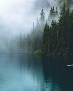 a lake surrounded by trees and fog in the distance with a boat floating on it