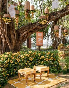 two yellow stools sitting on top of a rug under a tree