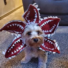 a small dog wearing a costume made to look like a shark's teeth on its head