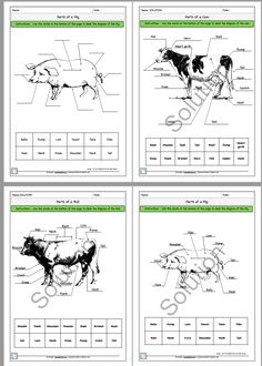 four diagrams showing the different parts of animals in their body and how they are attached to each