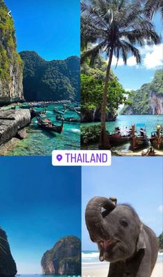 an elephant is standing in front of some mountains and boats on the water with palm trees