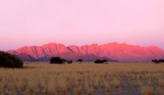 the sun is setting over some mountains in the distance, and there are grass growing on the ground