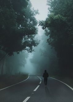 a person walking down the middle of a road in the foggy forest with trees on both sides