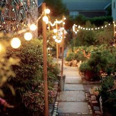 an outdoor walkway with lights and potted plants