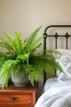 24 Botanical Bedroom Ideas to Decorate with Greenery