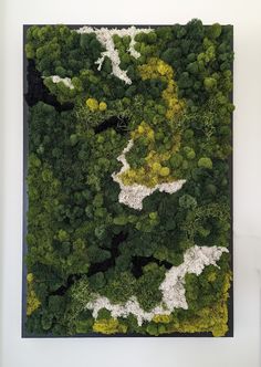 an aerial view of a forest with white and green trees