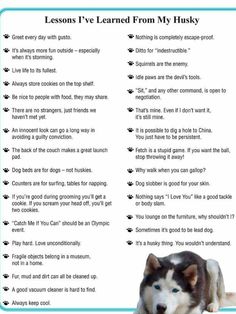 a poster with the words lessons i've learned from my husky