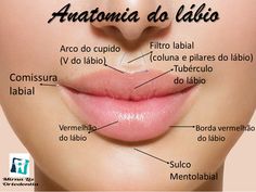 the anatomy of a woman's lips with labels in spanish and english on it