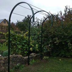 an outdoor garden with stone walls and green plants