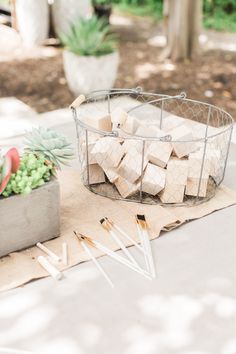 a metal basket filled with marshmallows next to a succulent plant