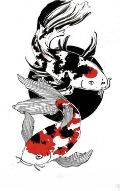 two black and white koi fish with red spots