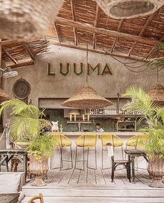 the restaurant is decorated with tropical plants and wicker umbrellas