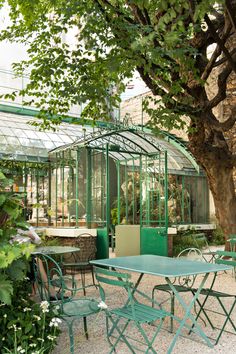 an outdoor dining area with tables and chairs under a large tree in the middle of it