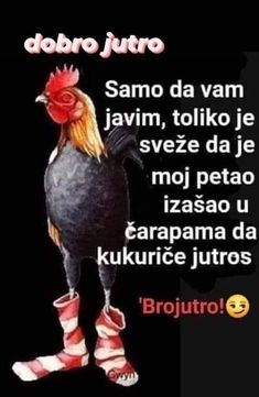 an image of a chicken with shoes on it's feet and the words dobro jutro written in spanish