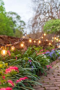 a brick path with lights strung over it and flowers in blooming along the side