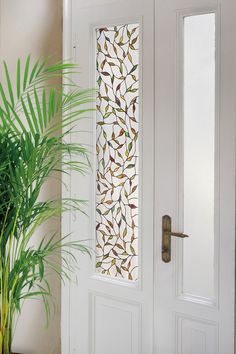 a potted plant sitting next to a white door with decorative glass panels on it