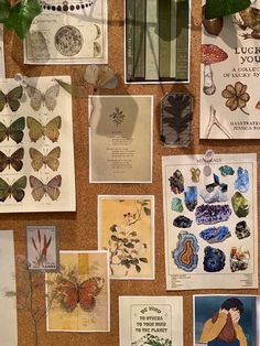 there are many pictures on the wall with butterfly magnets attached to it, including butterflies