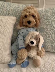 a brown dog sitting on top of a bed next to a stuffed animal