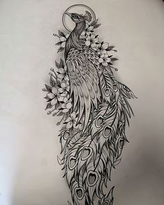 a drawing of a peacock with feathers and flowers