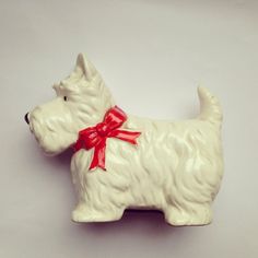 a small white dog with a red bow on its collar and tail, sitting in front of a gray background