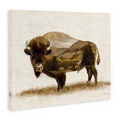 a bison standing in the grass with mountains in the background canvas print on wall art